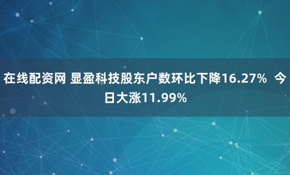 在线配资网 显盈科技股东户数环比下降16.27% 今日大涨11.99%